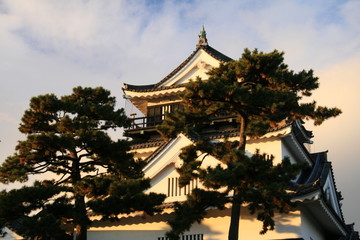日本の秋　夕焼けに映える岡崎城天守閣