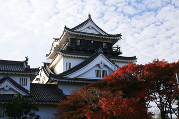 日本の秋　紅葉と岡崎城