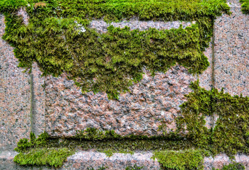 Texture of old red granite stone wall with layered green moss