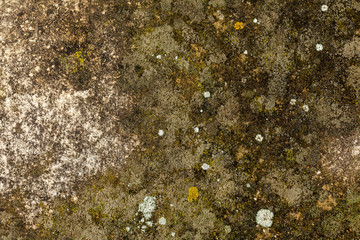 Textures