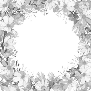 Monochrome floral frame with gray wildflowers on white. Copy space. Hand drawn. Background for wedding invitations, cards, textile, posters, web page. Vintage style. Vector stock illustration.