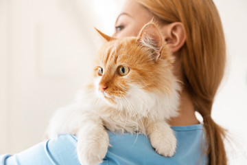 Female veterinarian with cute cat in clinic, closeup