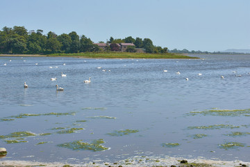 dublin landscape nature in ireland