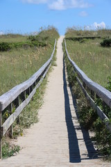 Fototapeta na wymiar Pathway to the Beach