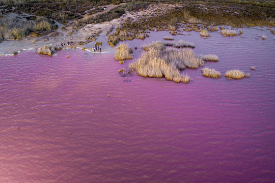 Aerial above a pink lake in Spain