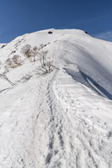 Obraz premium 雪山のトレース