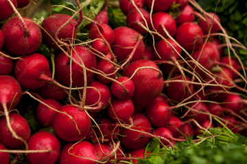 radish vegetable for preparing salads and dishes healthy and wholesome food including for vegatarian