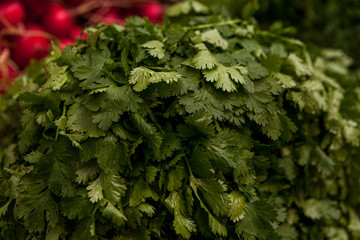 greens spices for cooking fresh and odorous dill onion parsley mint