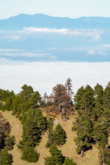 parque nacional nevado de colima
