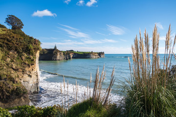 Obraz premium New Zealand coastal scenery ocean cliff sunny day