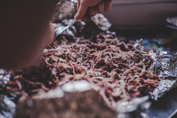 Pulled Pork (Maiale sfilacciato)