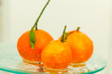 three orange mandarins with a branch and leaves stand in water on glass on a white background