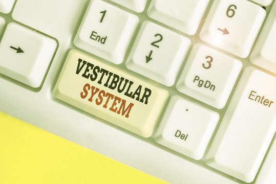 Handwriting text Vestibular System. Conceptual photo provides the leading contribution to the sense of balance
