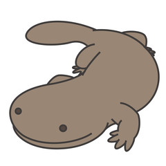 オオサンショウウオ