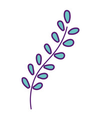 botanical ecology branch leaves foliage decoration