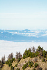 parque nacional nevado de colima