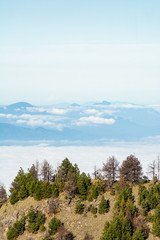 parque nacional nevado de colima