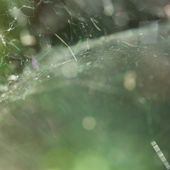 nature at its best