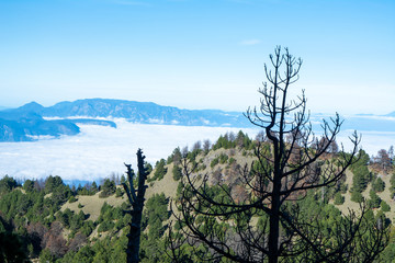 parque nacional nevado de colima