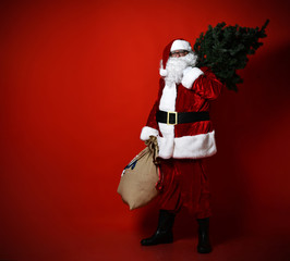 Santa Claus with a bag full of vegetables and fruits