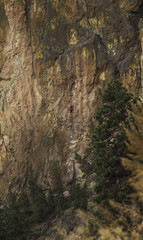 Fototapeta na wymiar Rock Climbing