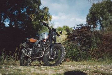 Fototapeta na wymiar Cafe racer scrambler motorcycle, old fashioned vehicle with modern materials on forest background