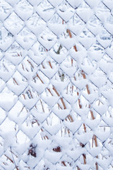 mesh in winter on nature in park background