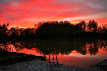 Shepard's Delight