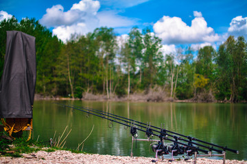 Obraz premium Ideal Fishing