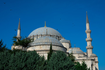 Fototapeta na wymiar Suleymaniye Mosque (Suleymaniye Camii). an Ottoman imperial mosque located on the Third Hill of Istanbul, Turkey