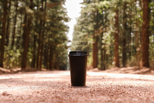 Black Disposable Coffee Cup With Plastic Lid In Pine Forest 