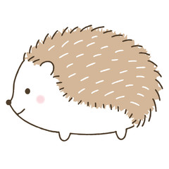 かわいいハリネズミ/動物