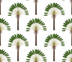 Nahtloses Muster mit Palmen auf weißem Hintergrund. Einfache Vektorverzierung.