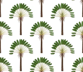  Naadloze patroon met palmbomen op witte achtergrond. Eenvoudig vectorornament. © OlgaShashok