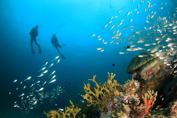 Fototapeta na wymiar Scuba dive underwater coral reef 