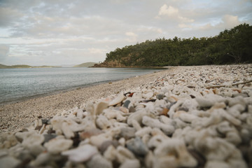 Fototapeta na wymiar Twilight at Coral Beach near Shute Harbour in Queensland. Beach full of shells and coral, majestic and beautiful