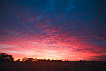 Fototapeta premium Vibrant pink and purple sunset sky in Central Victoria, Australia