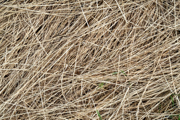 Dry flat grass hay agriculture background.