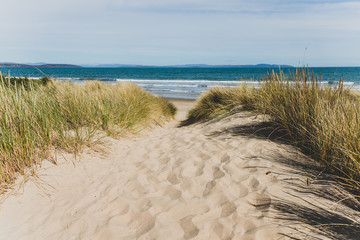 Fototapeta na wymiar sand and grass path leading to Seven Mile Beach in Tasmania, Australia