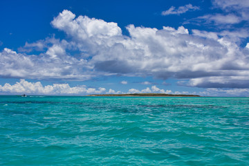 Fototapeta premium 沖縄の海
