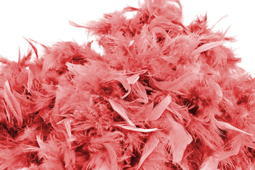 Multi-colored fluffy feather boa on a white background