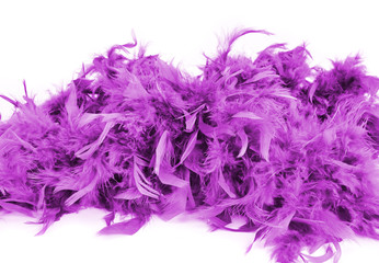 Multi-colored fluffy feather boa on a white background