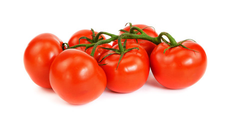 Bunch of red tomatoes on a green twig on an isolated background