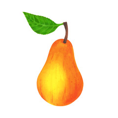 realistic yellow pear isolated on white background. Vector illustration