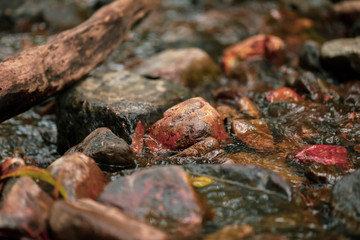 Vibrant wet river rocks close up in natural stream at Cedar Creek Falls near Airlie Beach, Queensland Australia