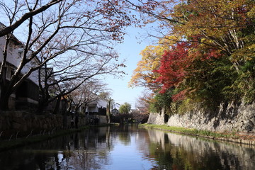 Fototapeta na wymiar 滋賀県　八幡堀の紅葉