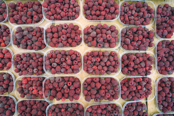 Fresh raspberries at a farmers market