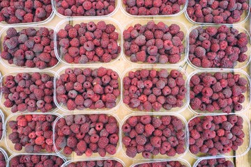 Fresh raspberries at a farmers market