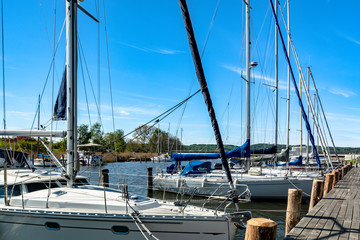 Fototapeta premium Hafen Seedorf, Insel Rügen