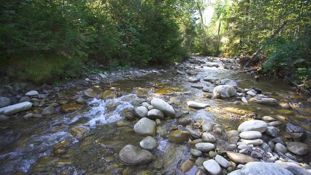 4K landscape. Mountain  stream ,river  in wood, picturesque stones. Sunny day